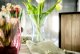 Vase "Spring" ()